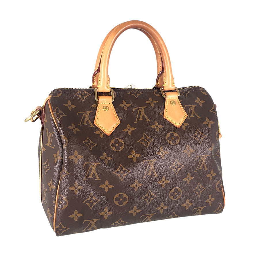 LOUIS VUITTON 2WAY Shoulder Handbag
