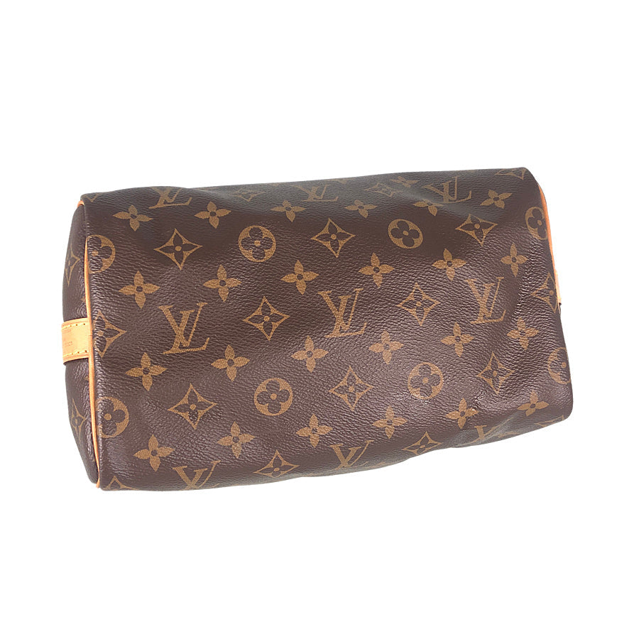 LOUIS VUITTON 2WAY Shoulder Handbag