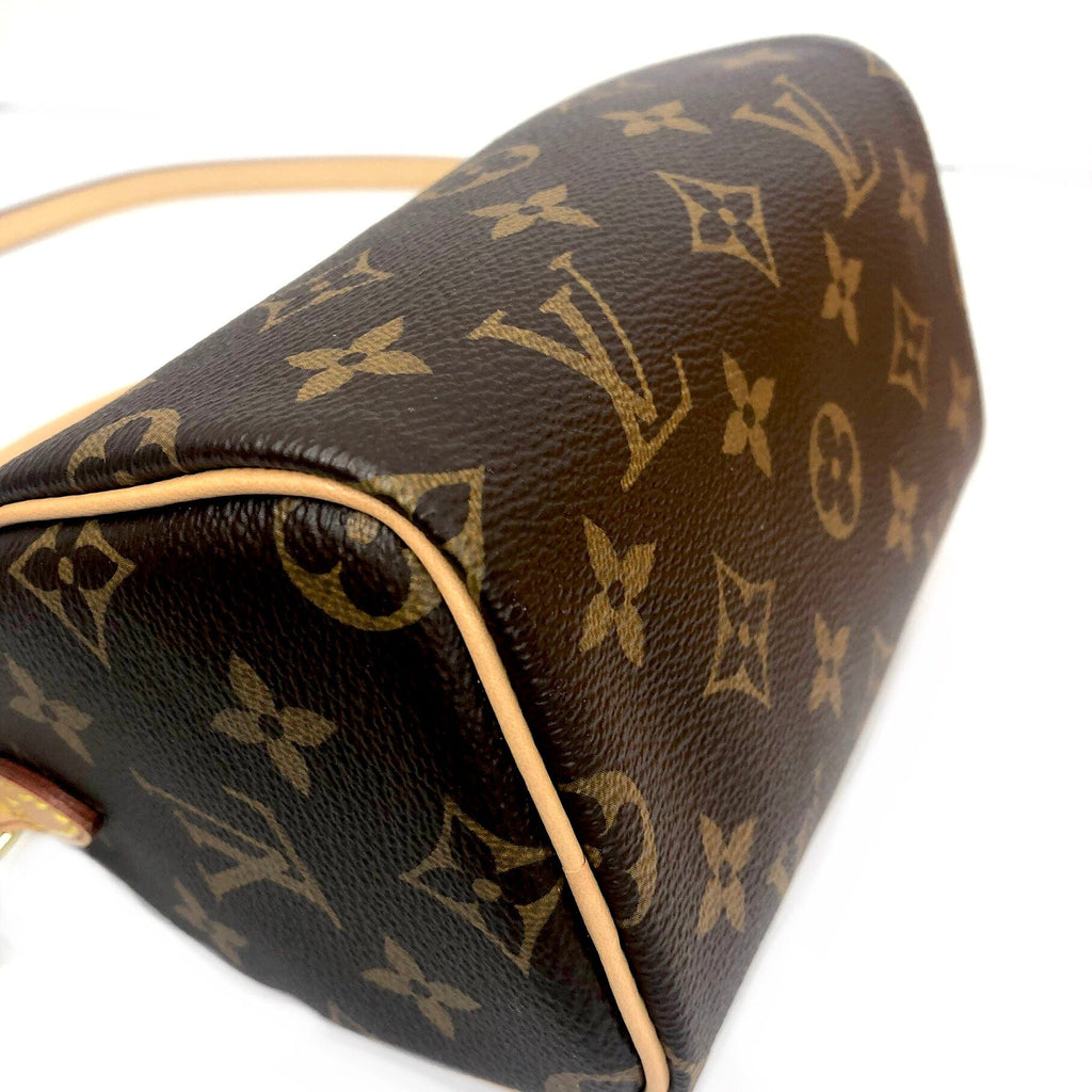 Louis Vuitton Monogram Nano Speedy Crossbody