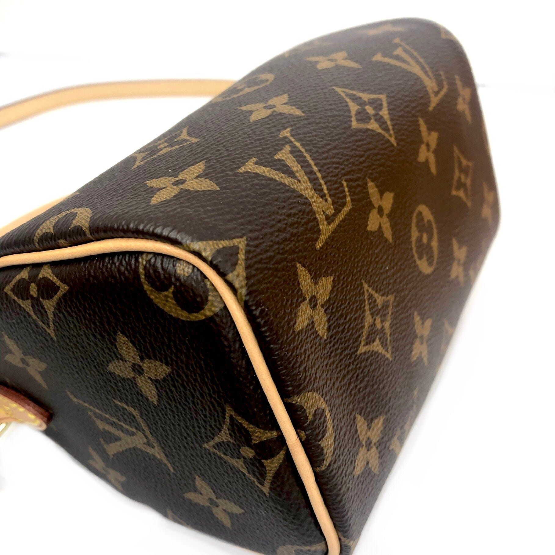 Louis Vuitton Monogram Nano Speedy Crossbody