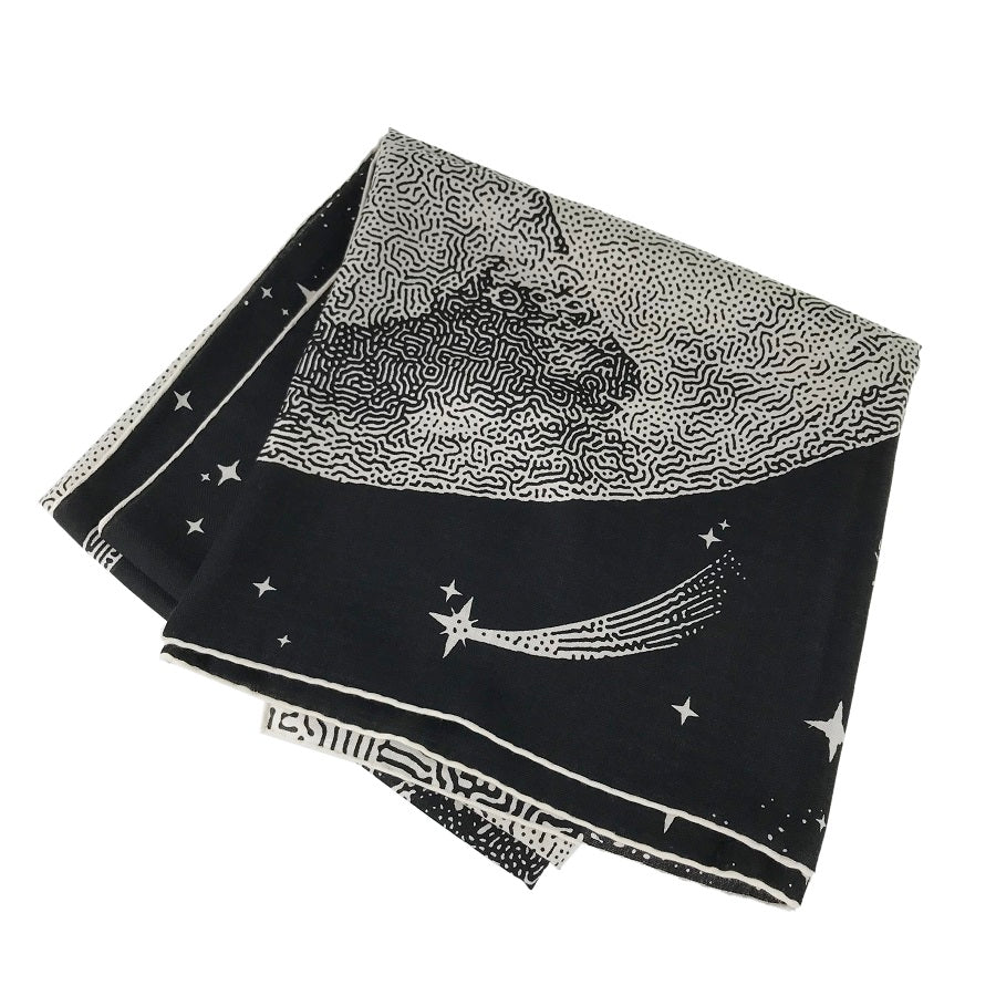 HERMES Caregean Women's Scarf