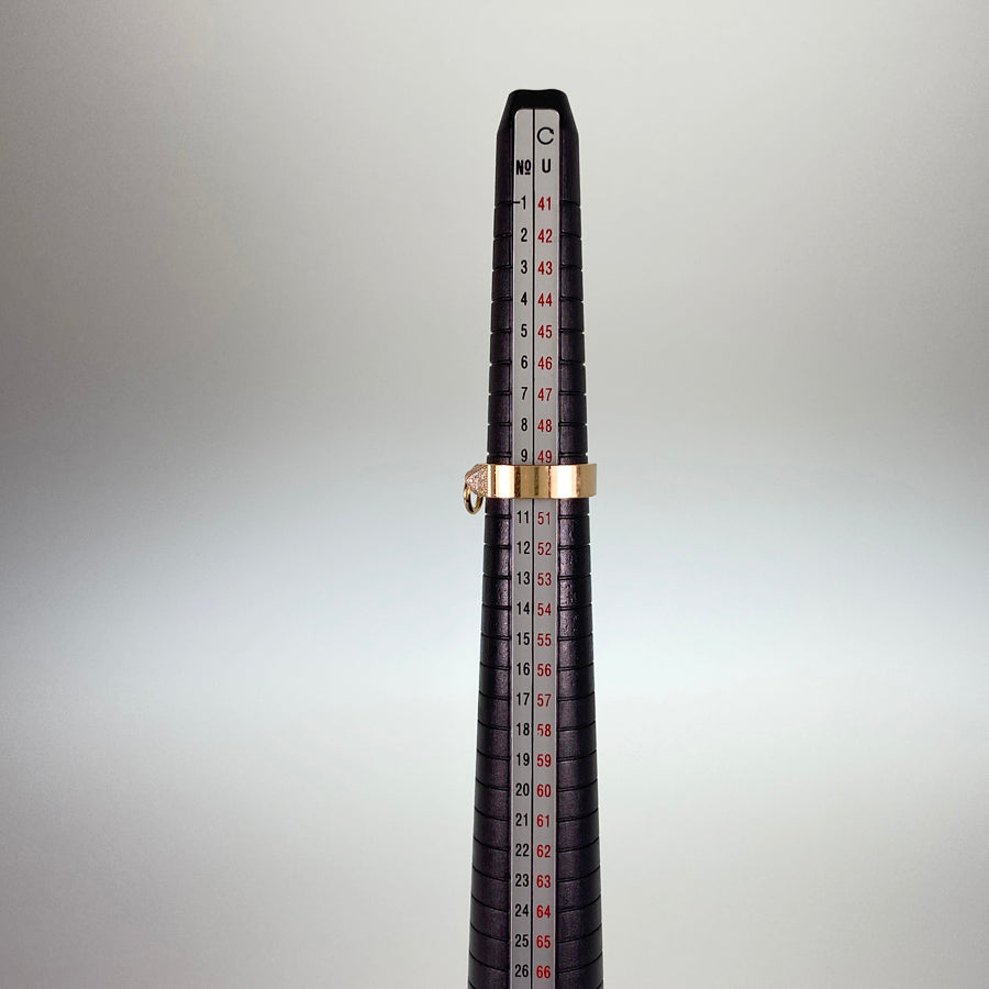 HERMES Collier de Chien Ring