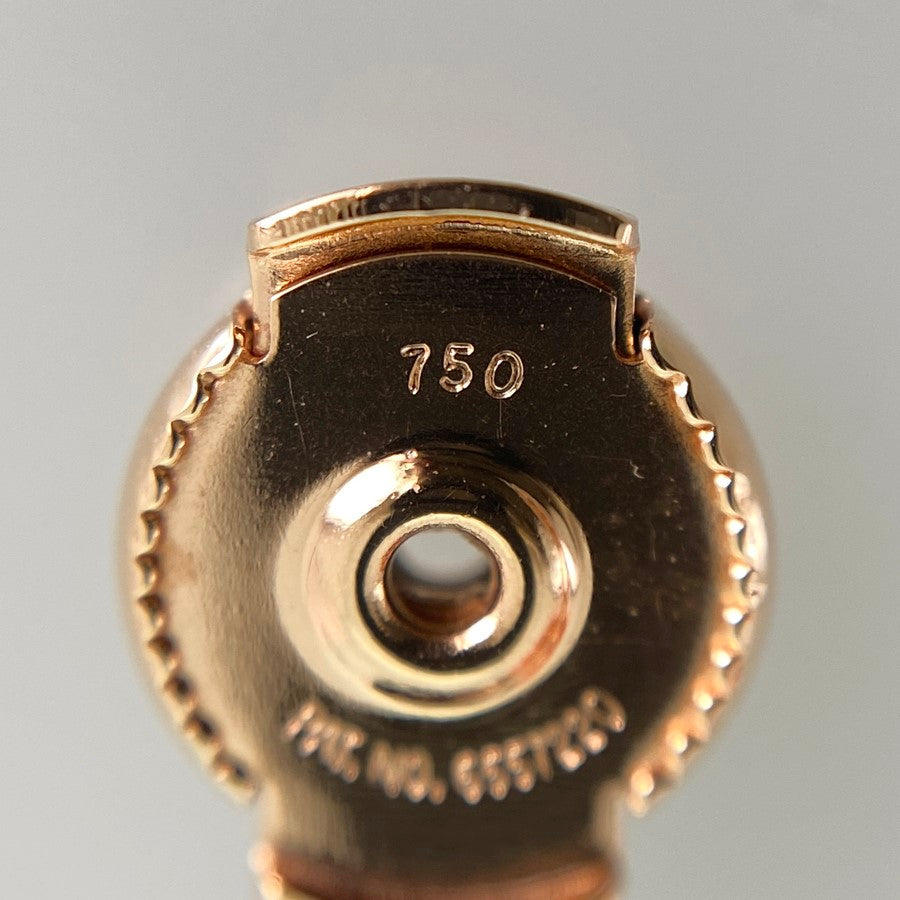HERMES Ex-libris TPM Earring